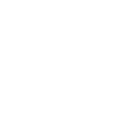 TAXI SEGURO