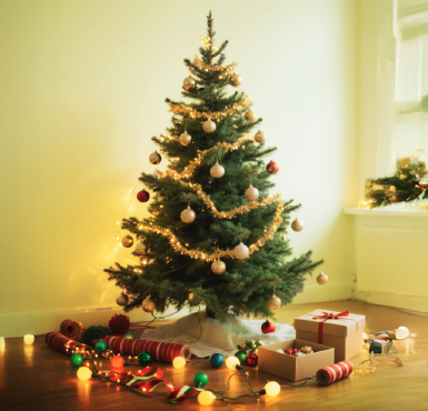 Aprende a armar tu árbol de Navidad
